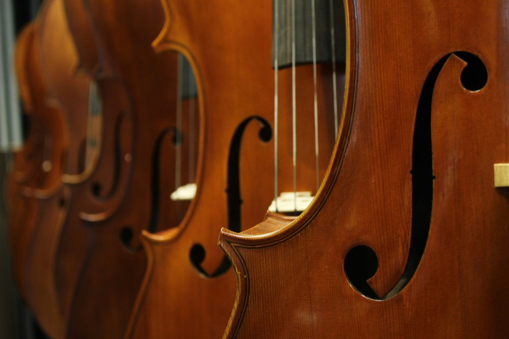 Image of double basses